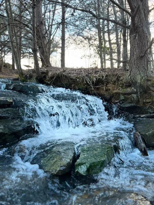 Mountain Glen RV Park & Campground Picture 5