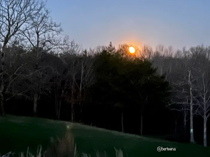 Mountain Glen RV Park & Campground Picture 9