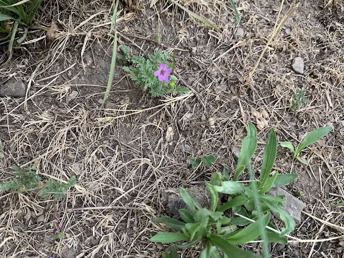 Friendship Campground Picture 4