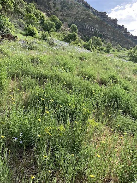 Friendship Campground Picture 1