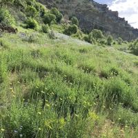 Friendship Campground ico