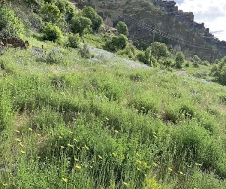 Friendship Campground