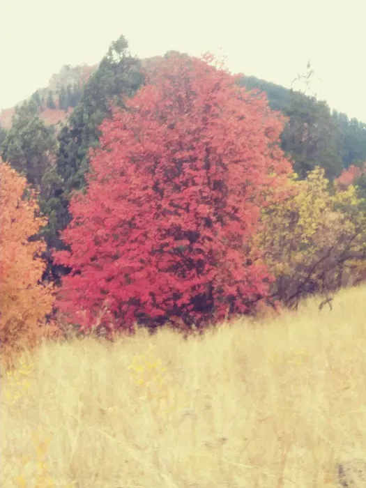 Friendship Campground Picture 8