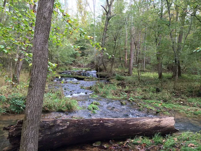 Saddlebrook River Estates Picture 2