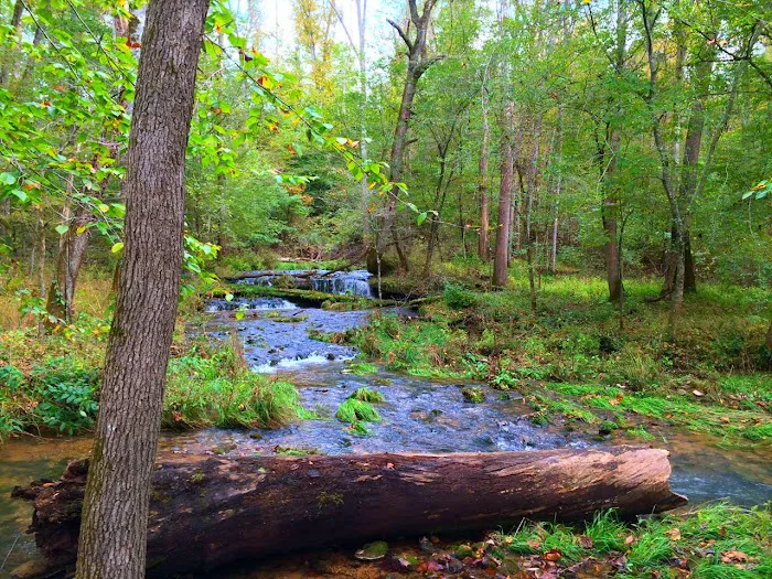 Saddlebrook River Estates Picture 4