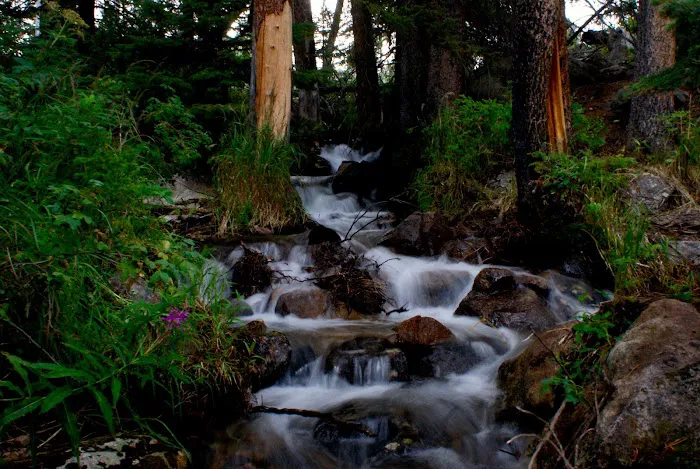 Lake Creek Campground Picture 4