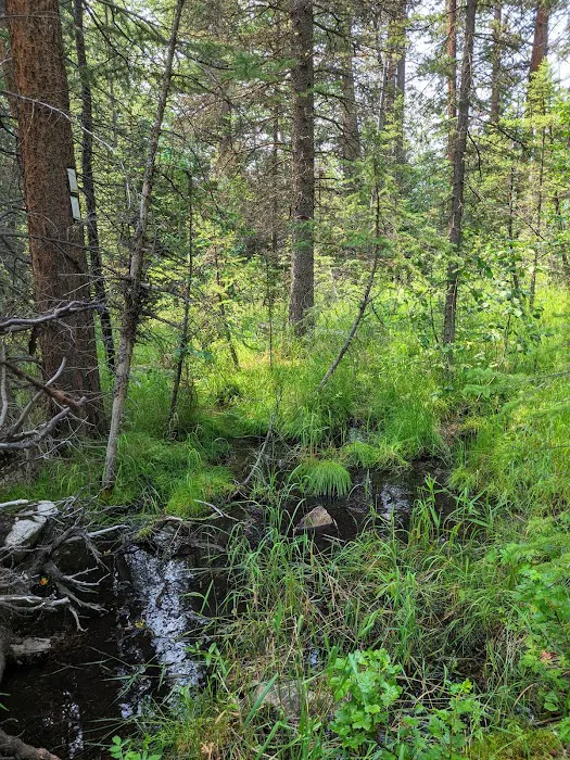 Lake Creek Campground Picture 10