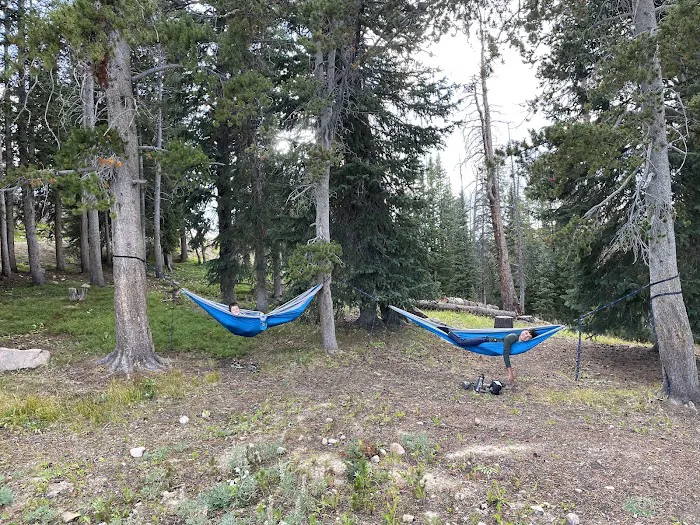 Island Lake Campground Picture 5