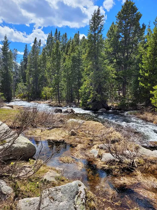 Island Lake Campground Picture 4