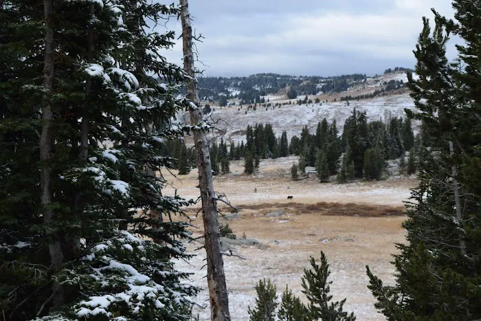 Island Lake Campground Picture 9