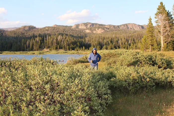 Beartooth Lake Campground Picture 5