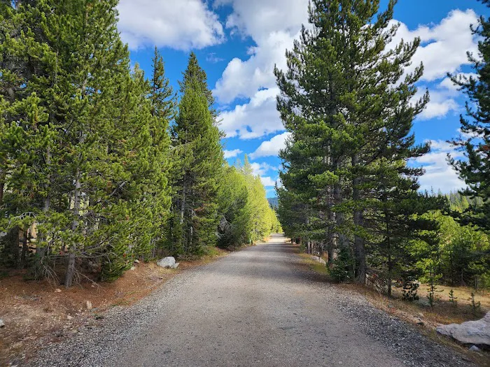 Beartooth Lake Campground Picture 7