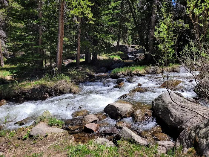 Beartooth Lake Campground Picture 8