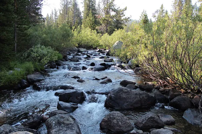 Beartooth Lake Campground Picture 10