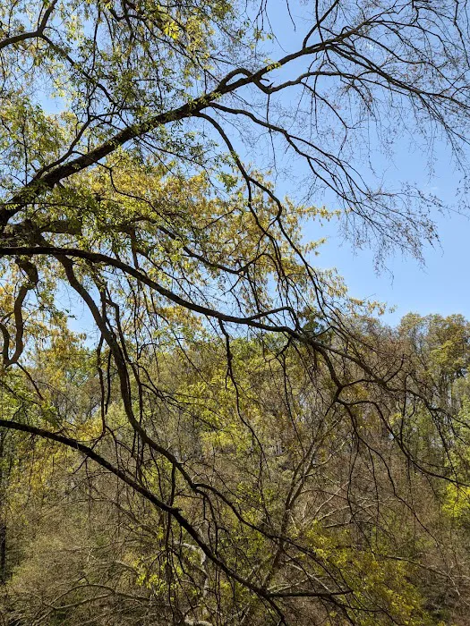 Possum Creek RV Park Picture 7