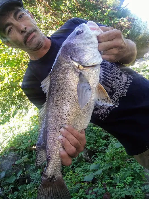 Possum Creek RV Park Picture 6