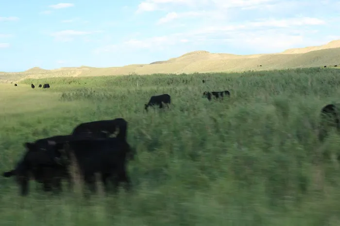 Hogan Reservoir Picture 9