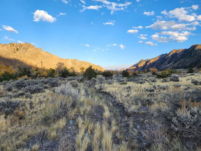 Wapiti Campground Picture 4