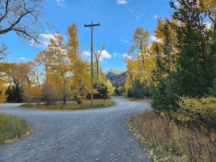 Wapiti Campground Picture 3