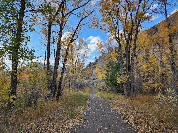 Wapiti Campground Picture 7