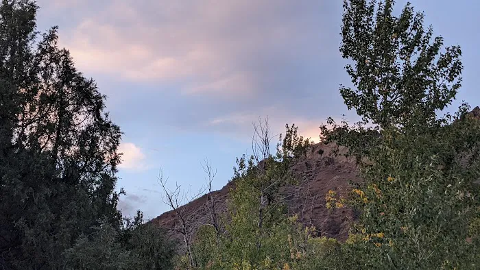 Wapiti Campground Picture 9