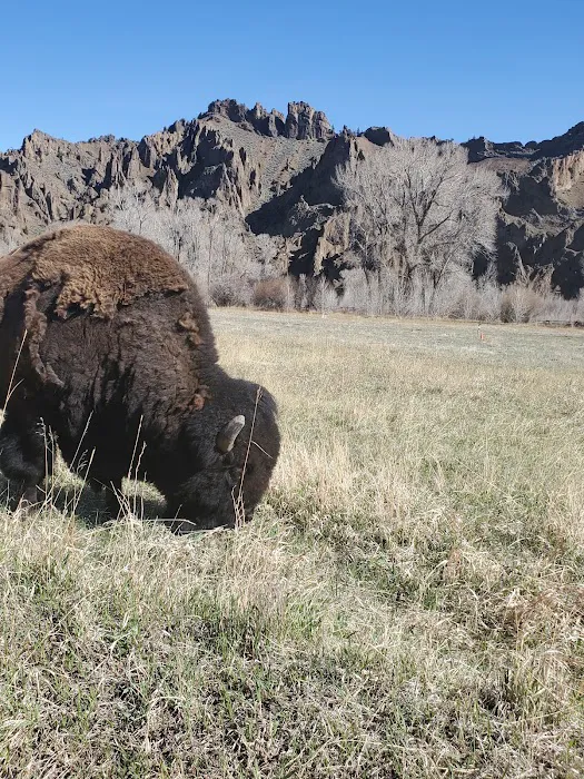 Big Game Campground Picture 5