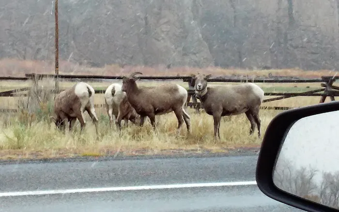 Big Game Campground Picture 6