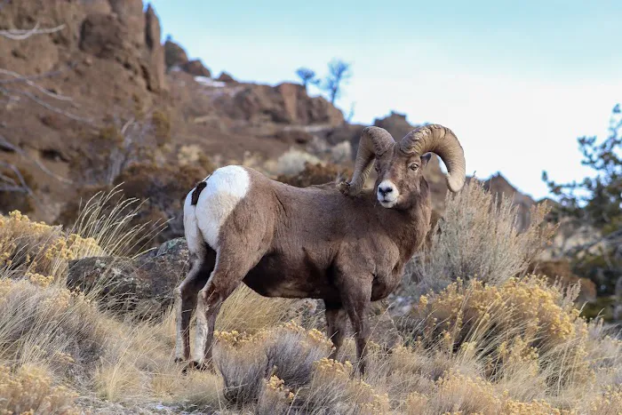 Elk Fork Campground Picture 3