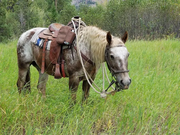 Elk Fork Campground Picture 5