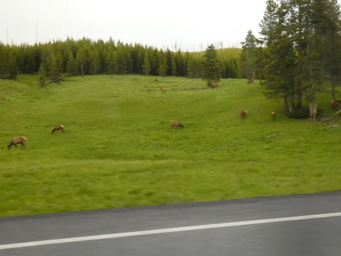 Elk Fork Campground Picture 6