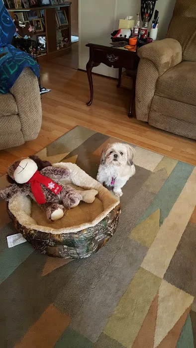 Grindstone Estates Mobile Home Community Picture 6