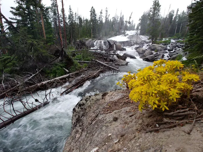 Crazy Creek Campground Picture 1