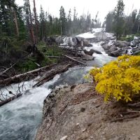 Crazy Creek Campground ico