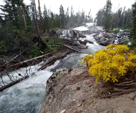 Crazy Creek Campground