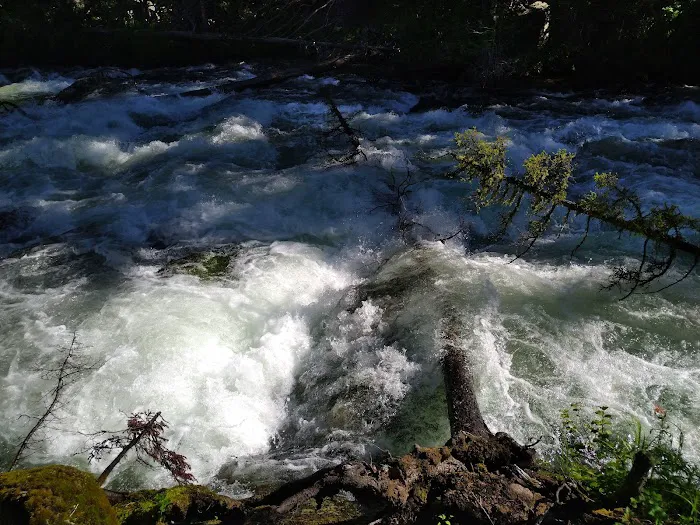 Crazy Creek Campground Picture 8