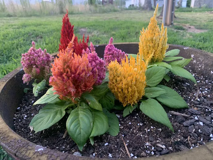 Auburn Hills Mobile Home Park Picture 10