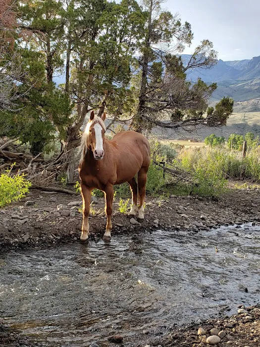 Homestead Campground Picture 2