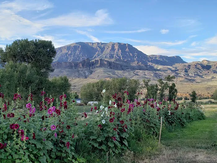 Homestead Campground Picture 1