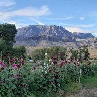 Homestead Campground ico