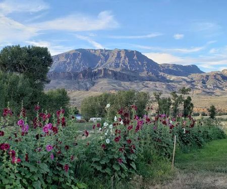 Homestead Campground