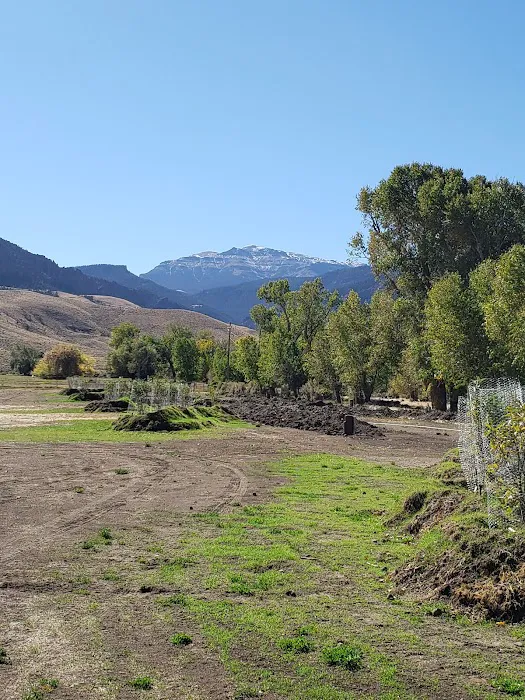 Homestead Campground Picture 5