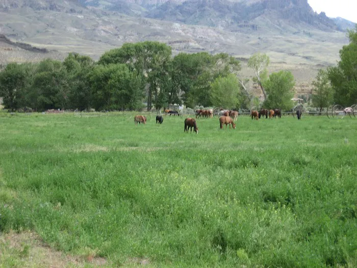 Homestead Campground Picture 9