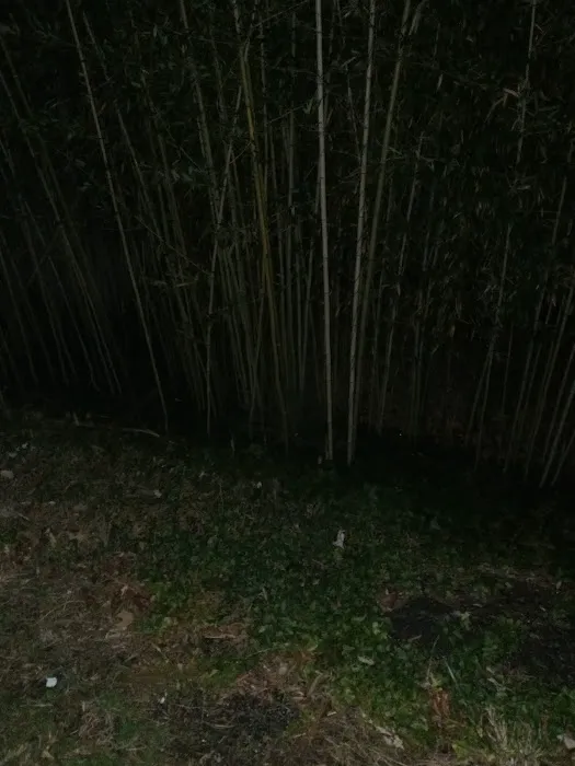 Cedar Creek Mobile Home Park Picture 3