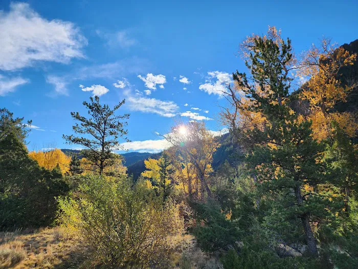 Rex Hale Campground Picture 9