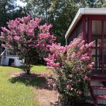 Country Oaks Estates