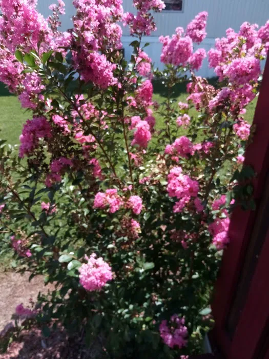 Country Oaks Estates Picture 3