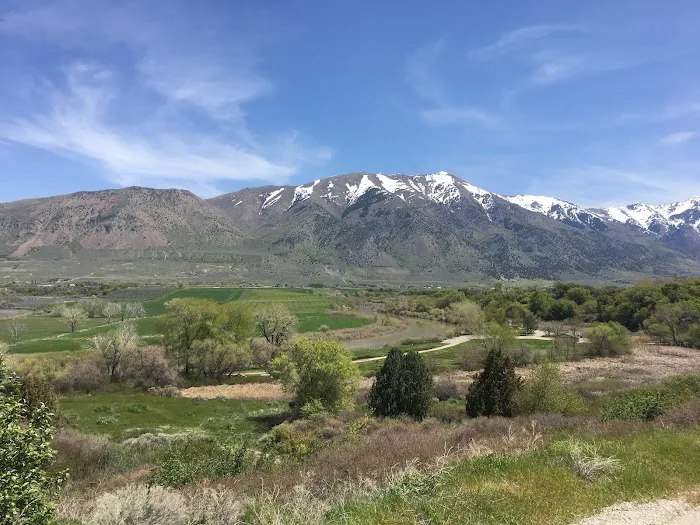 Petersen Park Recreation Camp Picture 4
