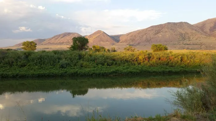 Petersen Park Recreation Camp Picture 3