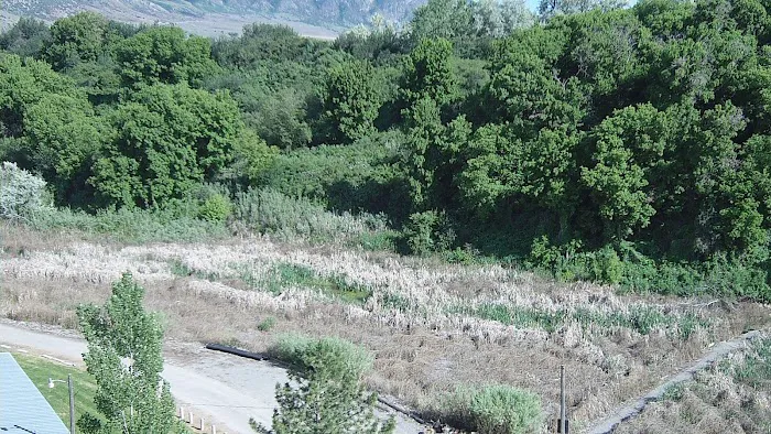 Petersen Park Recreation Camp Picture 8