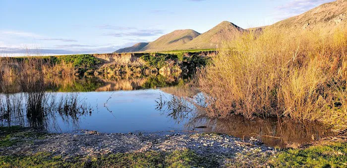 Petersen Park Recreation Camp Picture 9
